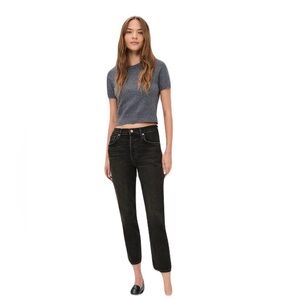 Agolde Riley High Rise Straight Crop Jean Panoramic 27